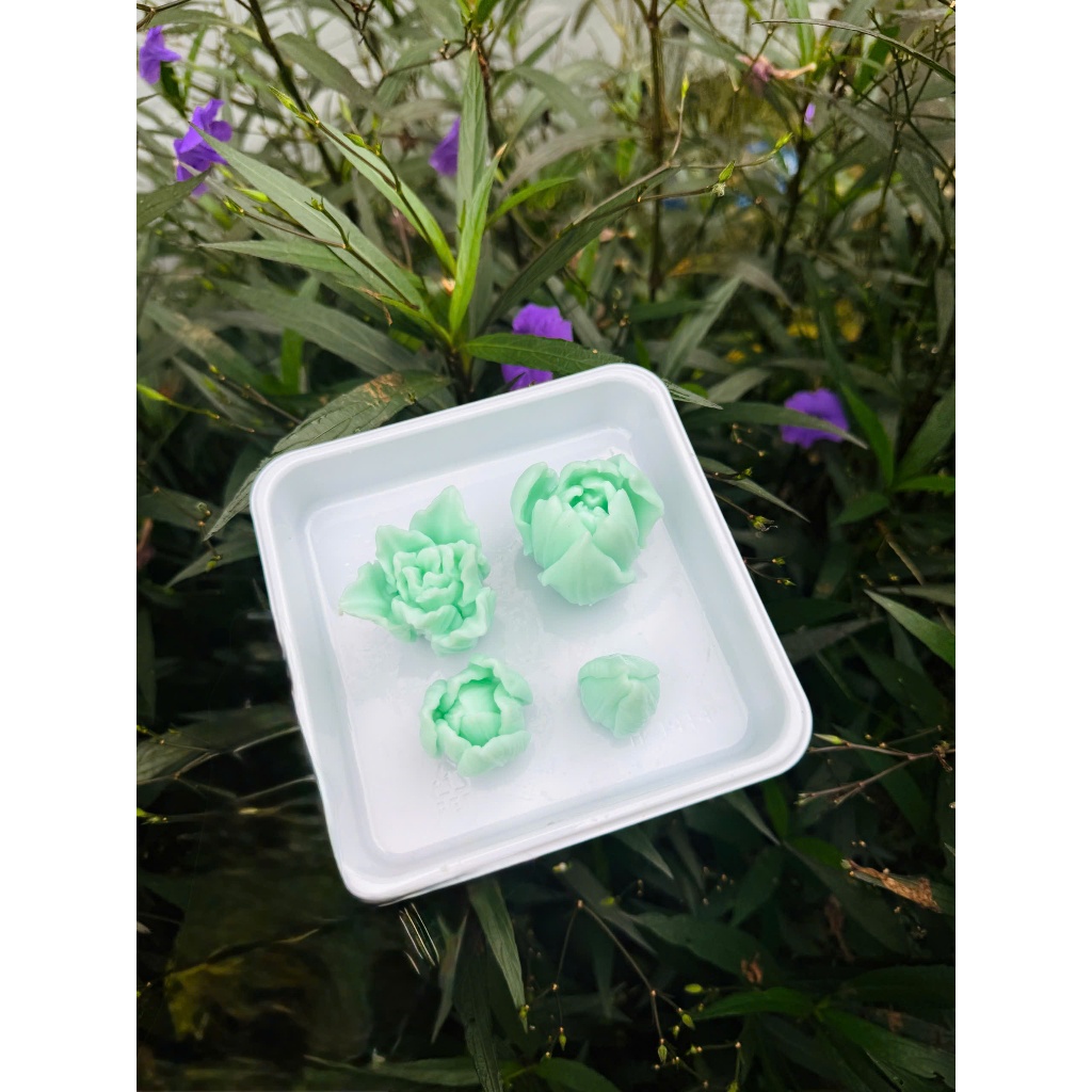Set 4 hoa tulip mẫu mới