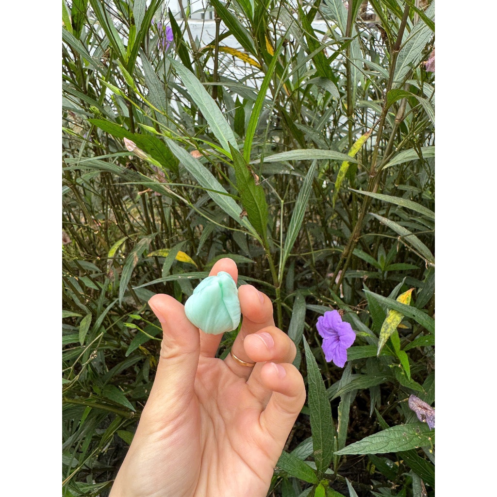 Set 4 hoa tulip mẫu mới