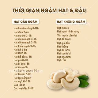 Tổng hợp 25 loại hạt nấu sữa, hạt dinh dưỡng làm sữa tự nhiên, đậu hạt hữu cơ tùy chọn