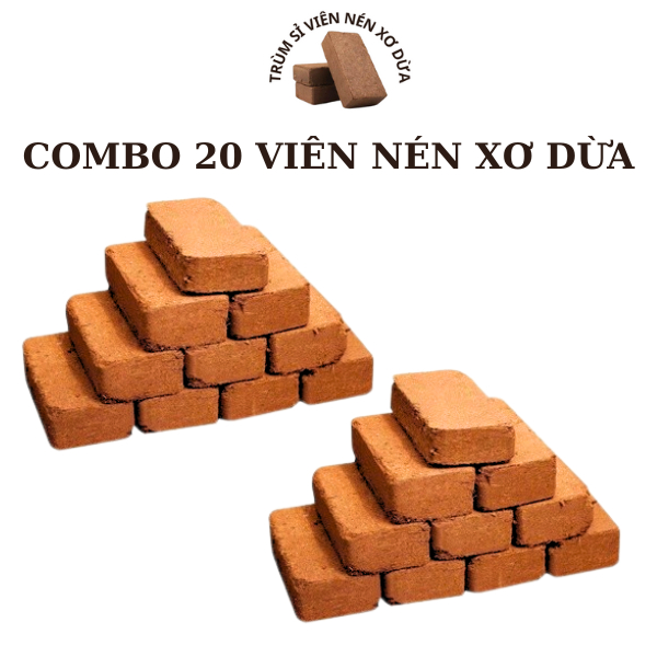 Viên Nén Xơ Dừa, Combo 10 đất sạch hữu cơ vi sinh, đất trồng cây TRÙM ...