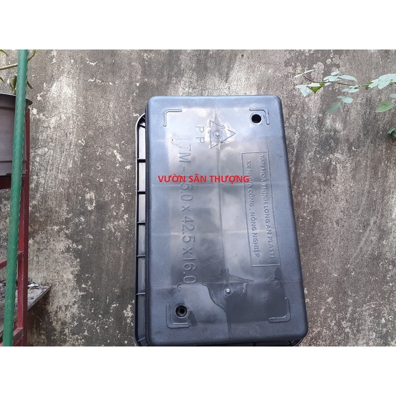 Chậu Chữ Nhật, Khay TRồng Rau Thông Minh 65*41*16 Cm Dùng Lâu Dài, Tái Sử Dụng Nhiều Lần
