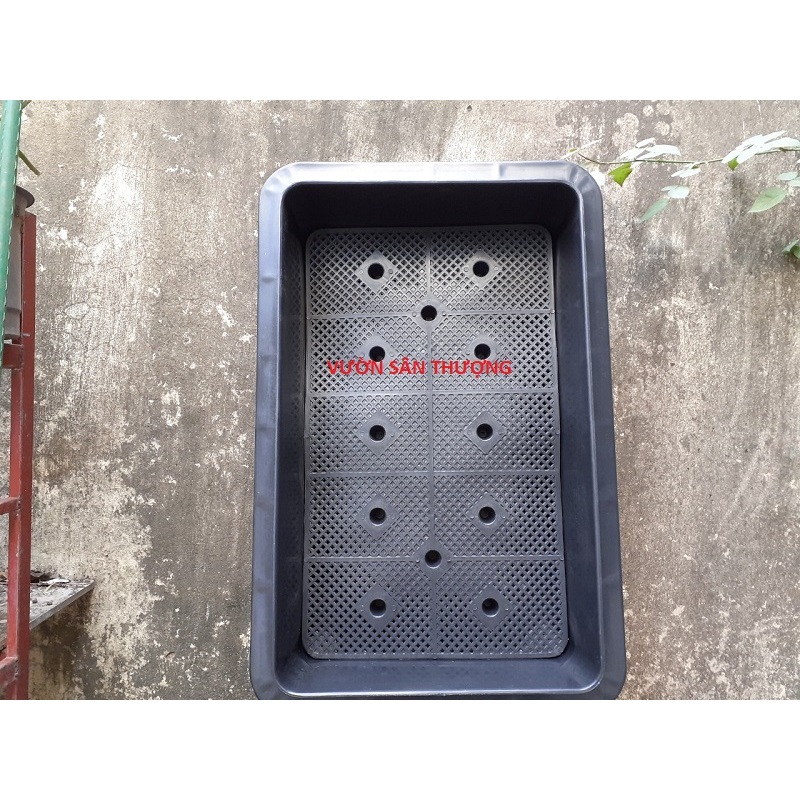 Chậu Chữ Nhật, Khay TRồng Rau Thông Minh 65*41*16 Cm Dùng Lâu Dài, Tái Sử Dụng Nhiều Lần