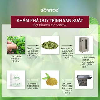 Nhuộm tóc đen tự nhiên bằng bột lá Hena và lá Chàm, Lên màu tự nhiên, Cải thiện gàu ngứa(Hộp 05 gói)