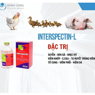 Interchemie Interspectin L chai 100ml trị hô hấp viêm phổi viêm họng viêm khớp cho chó mèo gia cầm