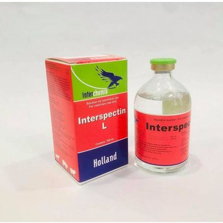 Interchemie Interspectin L chai 100ml trị hô hấp viêm phổi viêm họng viêm khớp cho chó mèo gia cầm