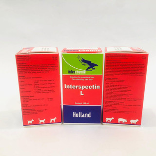 Interchemie Interspectin L chai 100ml trị hô hấp viêm phổi viêm họng viêm khớp cho chó mèo gia cầm