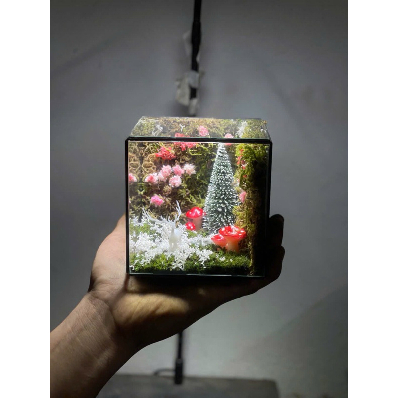 bể terrarium cubic 10cm setup bằng kính 3li