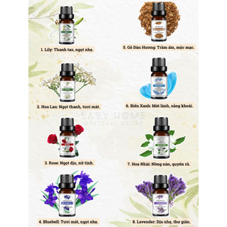 Tinh Dầu Thơm Phòng Lavender Chiết Xuất Thiên Nhiên, Tinh Dầu Xông Phòng Thư Giãn Thoải Mái, Đuổi Muỗi Hiệu Quả