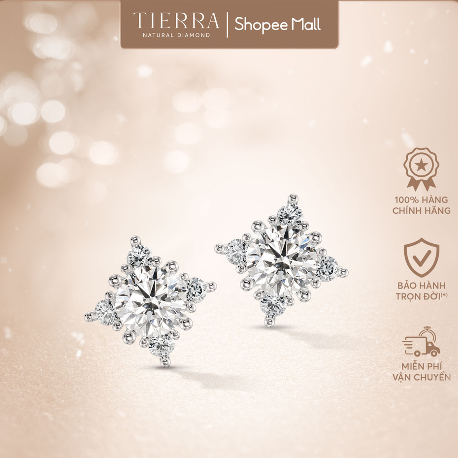 [CHAT TRƯỚC KHI ĐẶT] Bông Tai Tierra BTA2124, Vàng Trắng 14K, Đính Tấm - Đá CZ, Thiết Kế Kiểu Dáng Bông Tuyết Sang Trọng