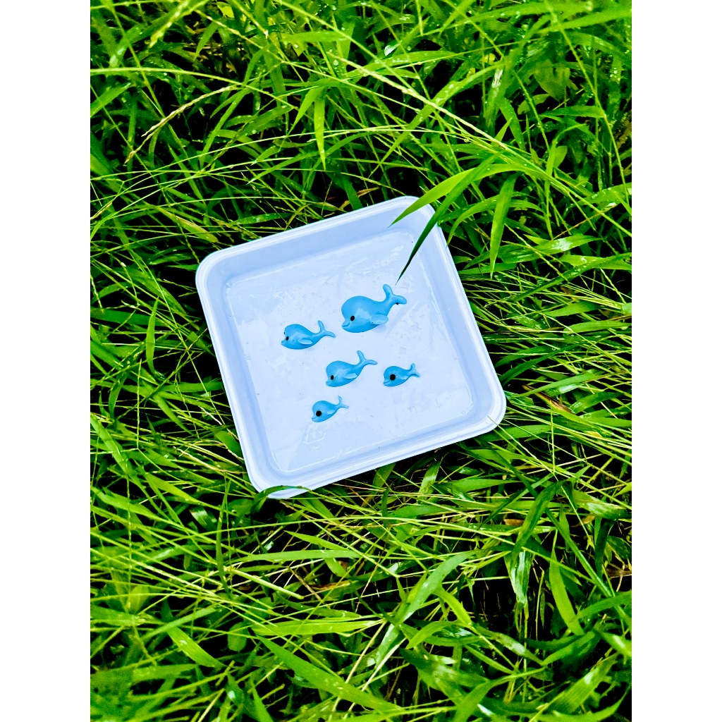 Vỉ cá heo silicon