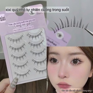 [XIXI] Set Lông Mi Giả XIXI Tặng Kèm Keo Và Nhíp XIXI Tự Nhiên Mềm Mại Cosmetic