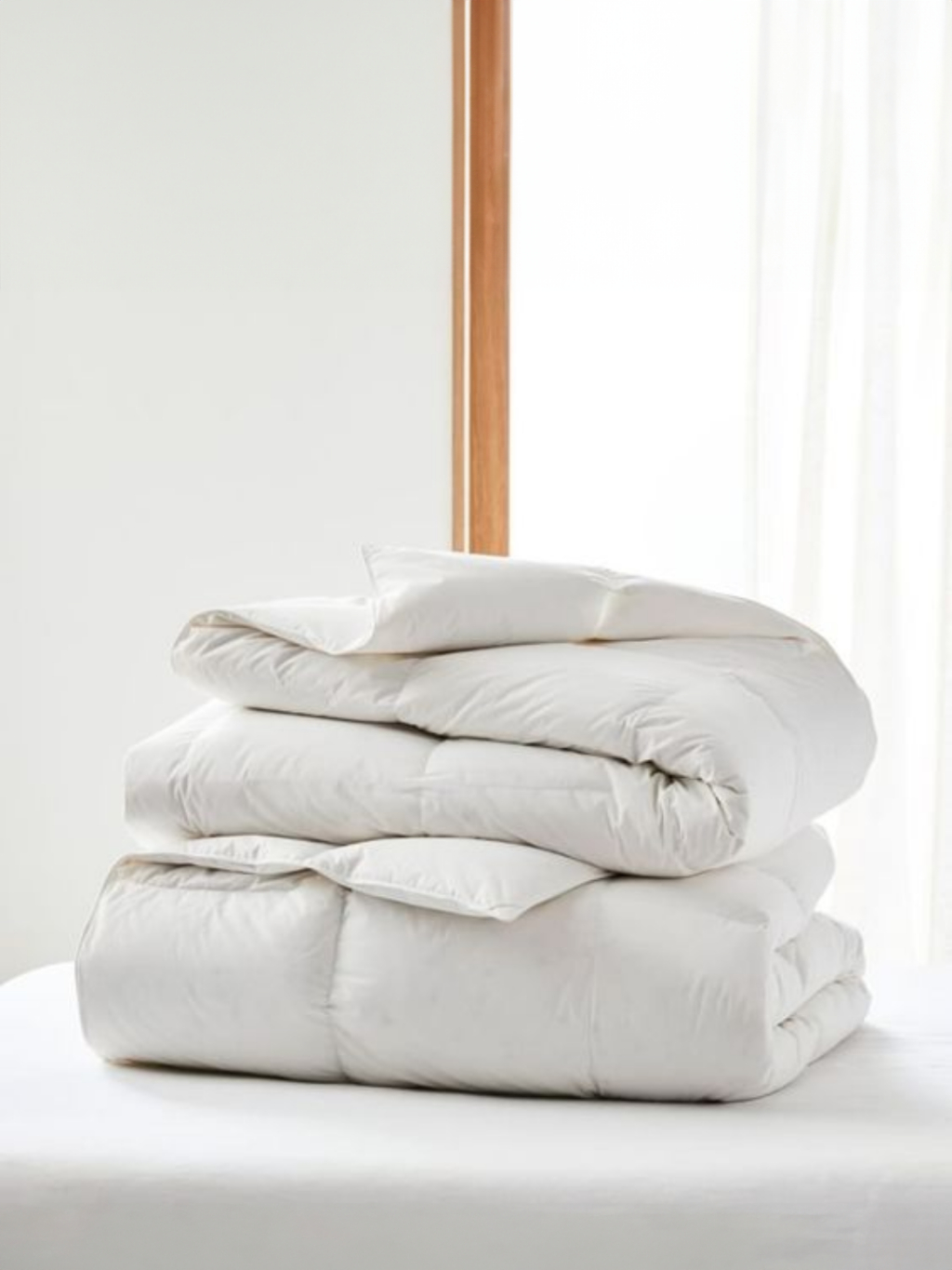 Ảnh Ruột chăn mền bông gòn Goni màu trắng, xám / Kích thước 1m5 x 2m, 2m x 2m3 1