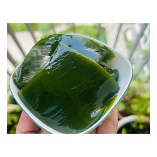 Bầu dây Lá Sâm xanh tốt như hình