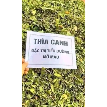 Dây thìa canh khô túi 1kg