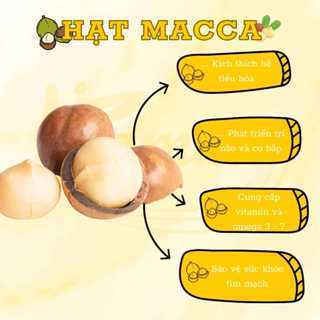 Hạt macca nứt vỏ Đắk Lắk Túi zip 500g - Hạt dinh dưỡng ăn vặt cao cấp