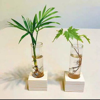 Bình hoa gỗ và ống nghiệm đế gỗ trang trí bàn làm việc cây thủy sinh