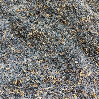 Vỏ trấu khô, trấu sống/ Trấu hun nguyên cánh (biochar) than sinh học: giá thể sạch không tạp chất.