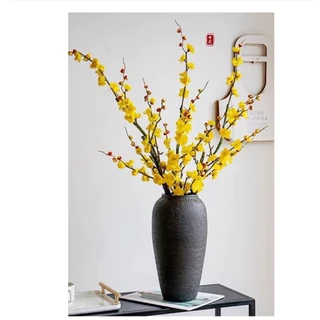 Cành mai - Giá Tốt, Miễn Phí Vận Chuyển, Đủ Loại | Shopee Việt Nam