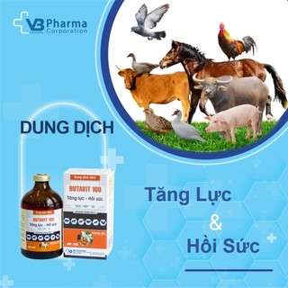 Thuốc thú y Butavit 100 Vb Pharma kích thích thèm ăn, tăng lực hồi sức cho chó mèo gà đá gia súc gc