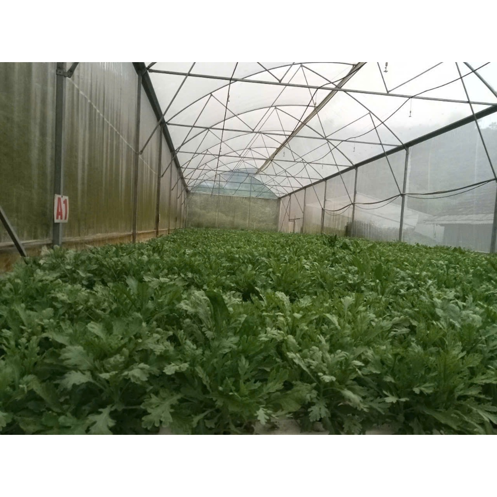 Dinh dưỡng thuỷ canh, khí canh dành cho rau ăn lá và ăn quả ( 4 lít )