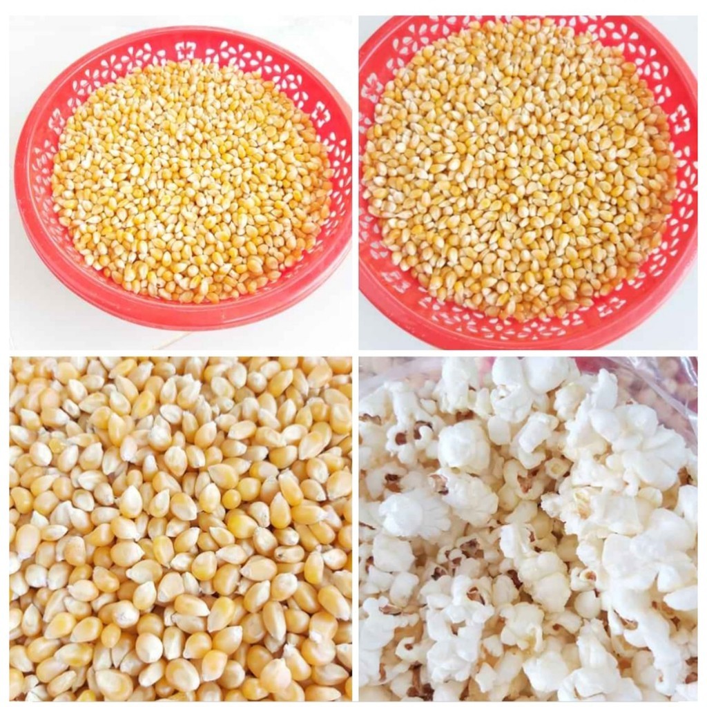 1KG BẮP RANG BƠ /  NGÔ MỸ NỔ/ BẮP NỔ BỎNG/ NGÔ NỔ BỎNG/ BẮP MỸ NỔ (HẠT CHƯA CHẾ BIẾN)  nongsangiasi _ bắp giá sỉ