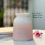 Bình Hoa Gốm Sứ Dáng Hũ Nơ Nhỏ 13cm Decor Trang Trí Bàn Làm Việc Màu Pastel Xinh Xắn GomDecorTSC