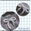 Túi xách tay mini M1- handmade len - crochet - tặng ghim cài nơ