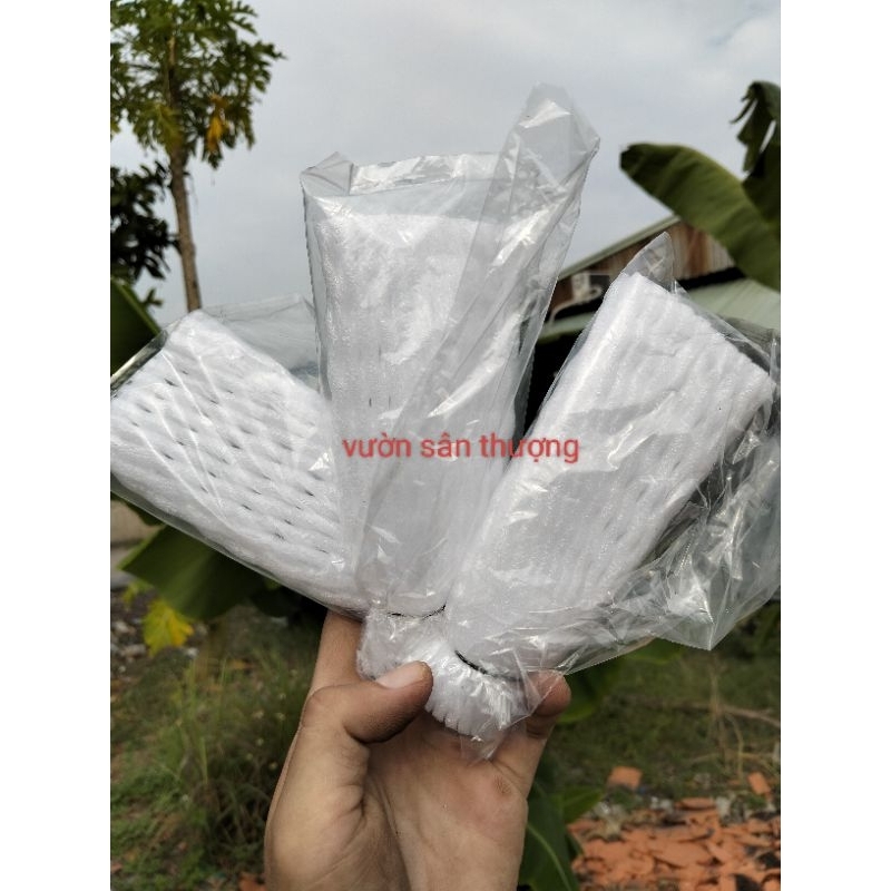 Xốp Bọc Ổi, Tránh Côn T.rùng C.hích Quả, Tái Sử Dụng Nhiều Lần