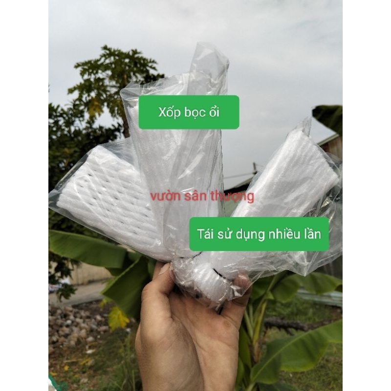 Xốp Bọc Ổi, Tránh Côn T.rùng C.hích Quả, Tái Sử Dụng Nhiều Lần