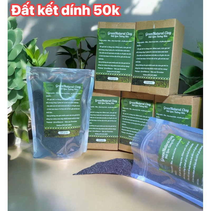 Đất Làm Tường Rêu Terrarium Tạo Kết Dính
