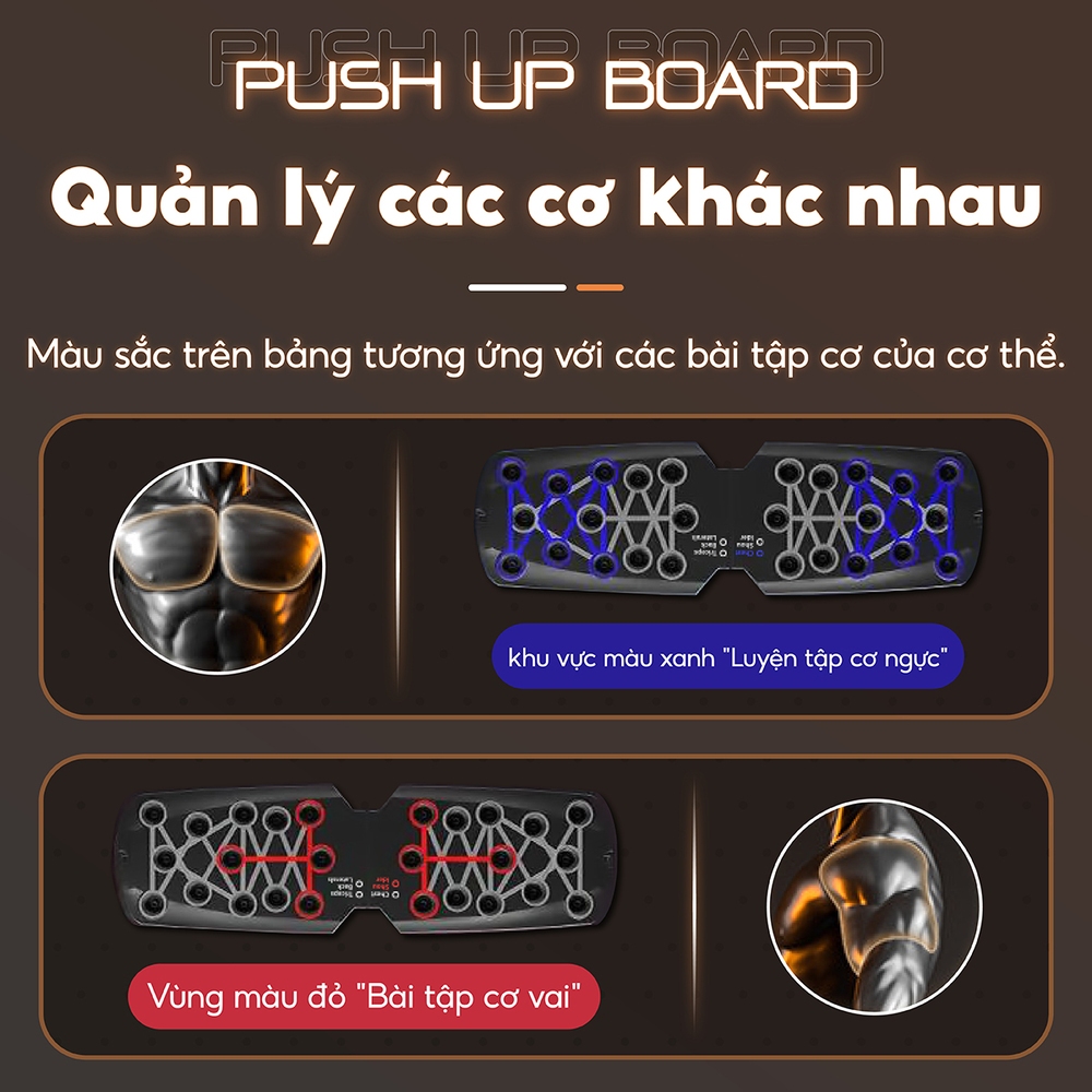 Ảnh KOL - BG-Dụng Cụ Tập Hít Đất Chống Đẩy Có Vạch Kẻ Màu Theo Nhóm Cơ Rh003 4