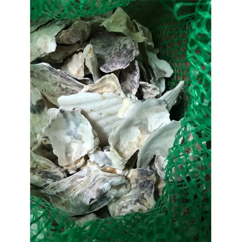 Túi 10kg Vỏ Hàu Ion - Cân Bằng PH Cho Hồ Cá