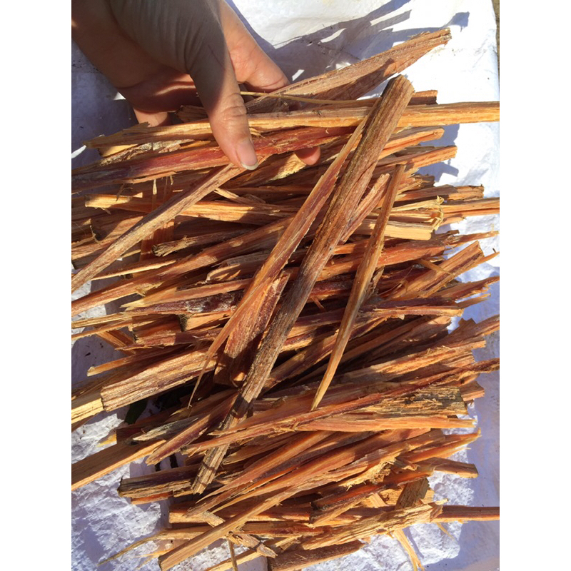 Củi ngo ( củi dầu ) loại nhiều dầu 250g | Shopee Việt Nam
