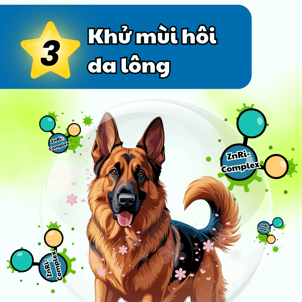 Chai dầu tắm FAY 5 sao chính hãng