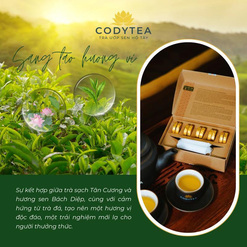 Trà ướp Sen Fasttea - Trà ướp Sen Hồ Tây Cody Tea (10 viên/hộp ...