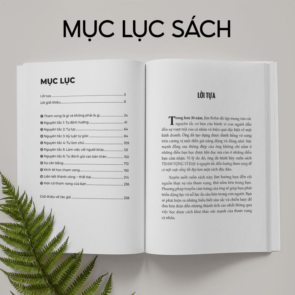 Sách Tham Vọng Vĩ Đại - 6 Nguyên Tắc Điều Hướng Tham Vọng Để Có Một Cuộc Sống Tốt Đẹp Hơn - Bizbooks
