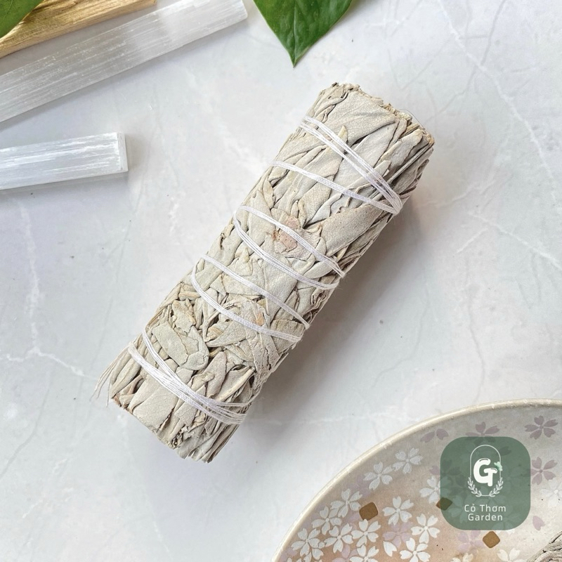 Xô Thơm trắng White Sage - Xô Thơm thanh tẩy, thảo mộc xông nhà ...