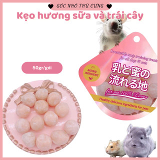 Tổng hợp các loại thức ăn cho hamster, thỏ, sóc và thú cưng nhỏ (Snack thưởng mài răng và đồ chơi)