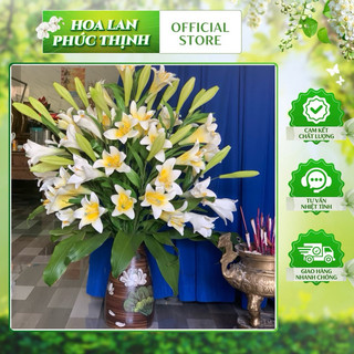 cành kèn xốp 3 bông 2nụ hoa cao cấp