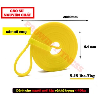 Dây Kháng Lực, Dây Đa Năng Hỗ Trợ Tập Luyện Tập Gym Thể Hình Cao Su Power Band Aolikes- AL3602