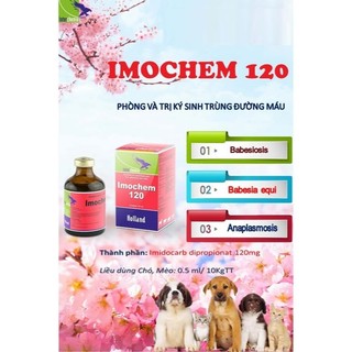 Thuốc thú y phòng và trị ký sinh trùng đường máu Butachem và Imochem Interchemie ở chó mèo dê bò cừu