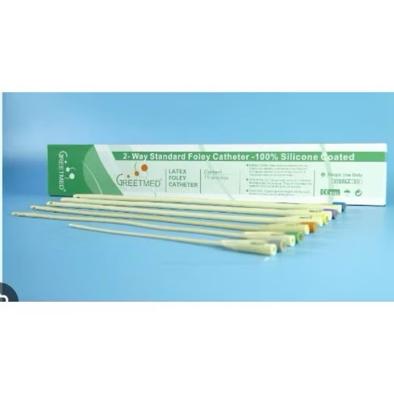 Hộp 10 sợi dây Ống Thông Tiểu Foley 2 Nhánh Các Số