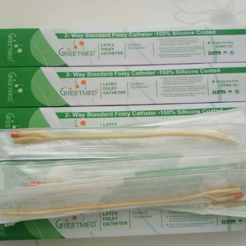 Hộp 10 sợi dây Ống Thông Tiểu Foley 2 Nhánh Các Số