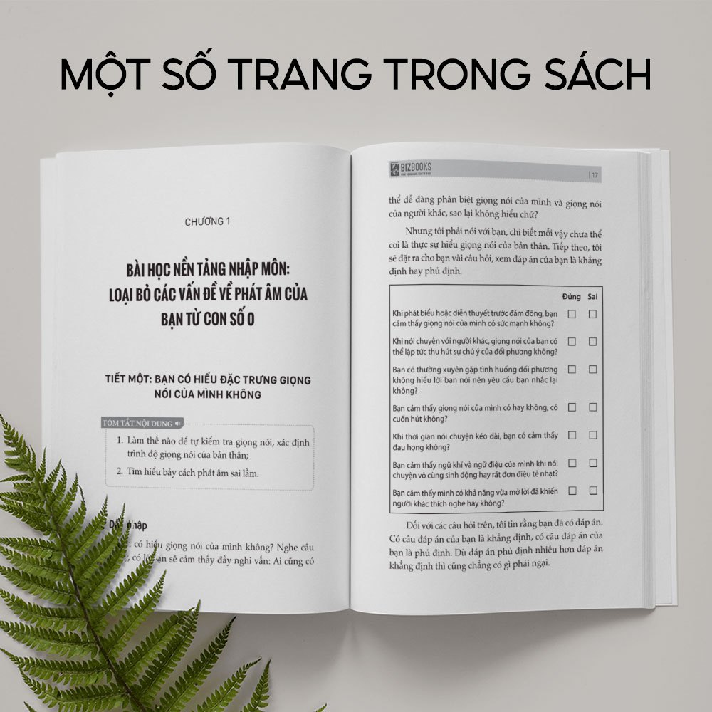 Sách Kiếm Tiền Bằng Giọng Nói: Bắt Kịp Xu Hướng Thời Đại Mới - Bizbooks