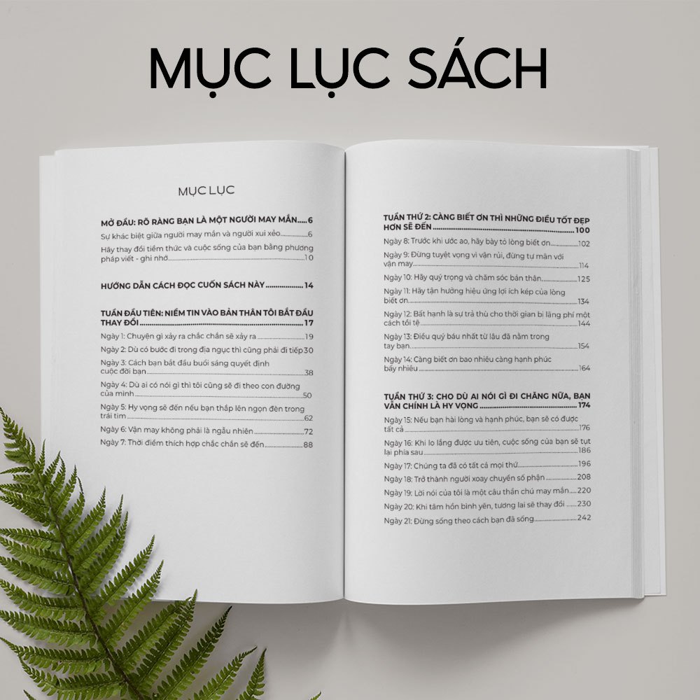 Sách Luật May Mắn: 21 Ngày Tái Tạo Năng Lượng Để Thu Hút Thành Công - Bizbooks