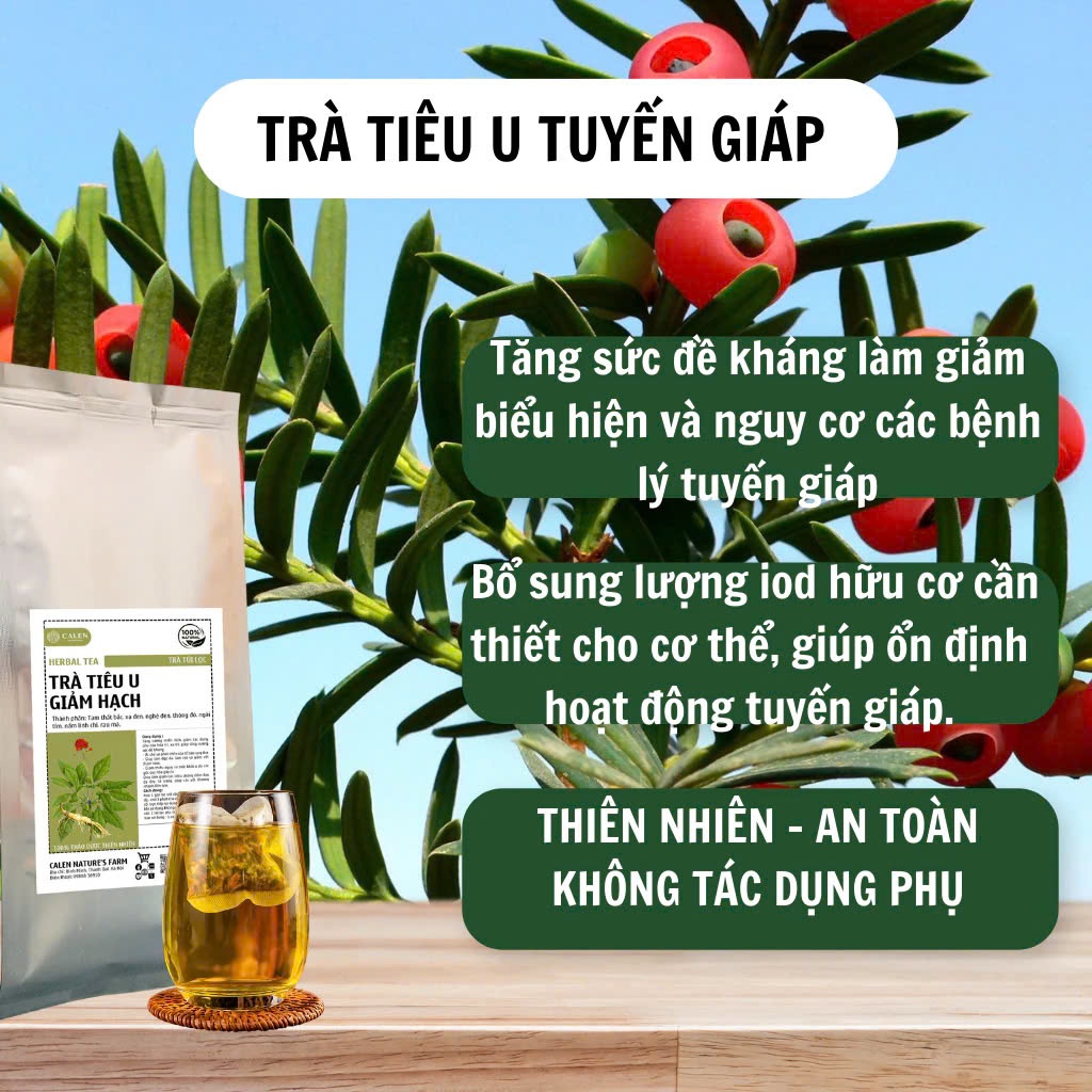 Trà tiêu u Calen hỗ trợ người bị u, xơ, nhân, nang, tuyến giáp, v.ú hiệu quả, giảm sưng và tăng đề kháng bịch 30 túilọc