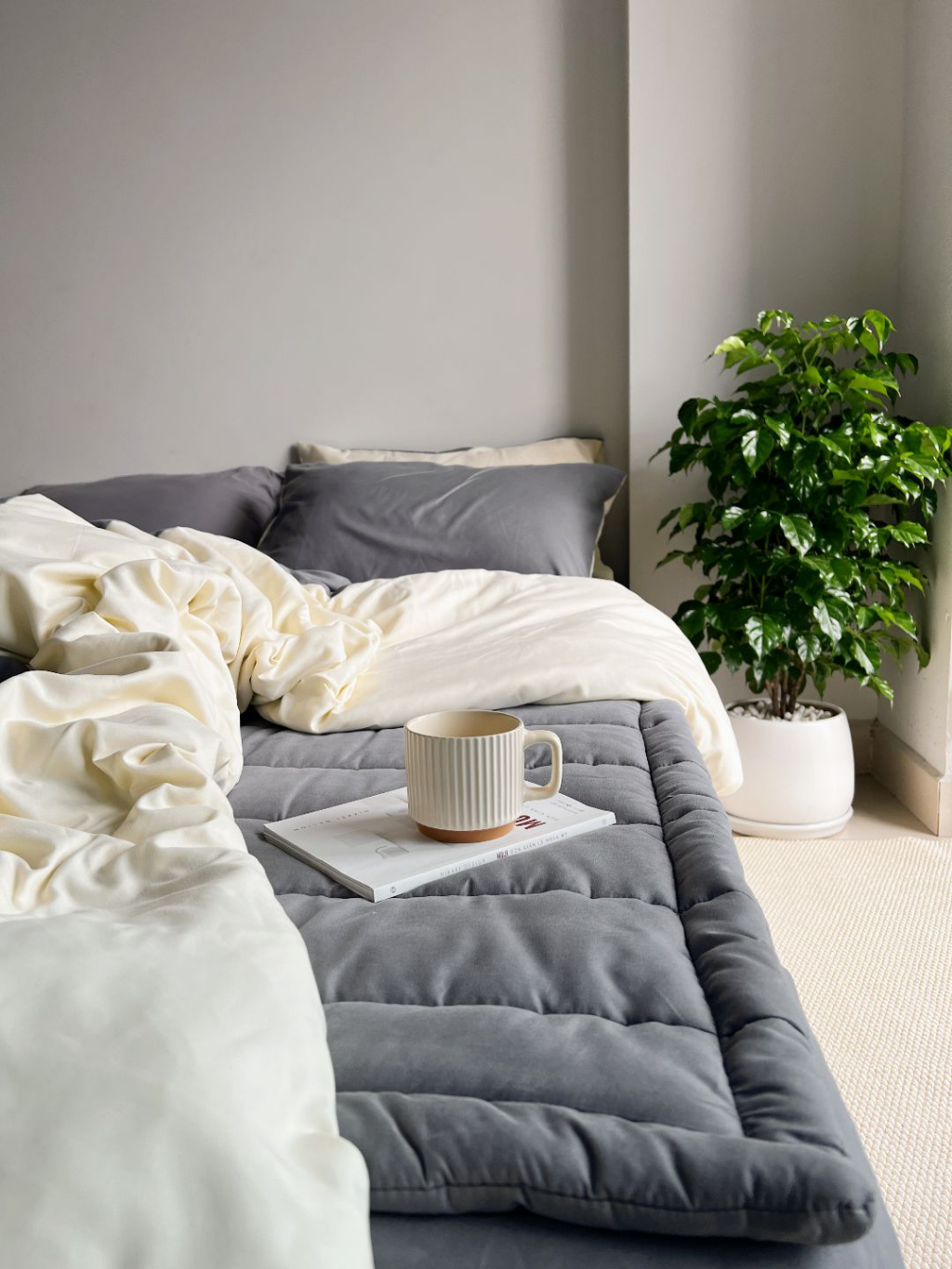 Review Bộ Chăn Mền Ga Gối & Tấm Trải Nệm GONI Tici Cao Cấp - Ưu Đãi Hấp Dẫn