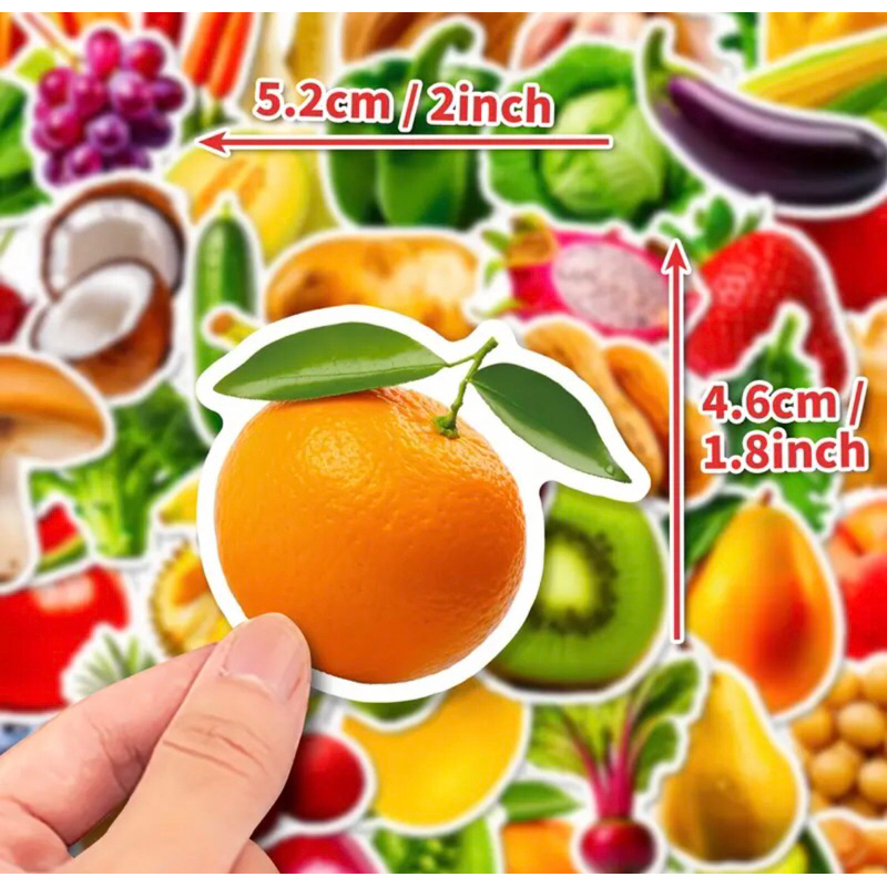 60 sticker hoa quả, trái cây nhiệt đới đông nam á trang trí sổ tay note book văn phòng phẩm