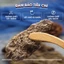 Sinh địa khô 1kg, củ sanh địa to, sạch - Tiệm lãn ông