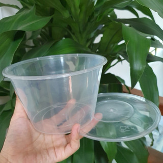 100 tô nhựa 1000ml nhập khẩu